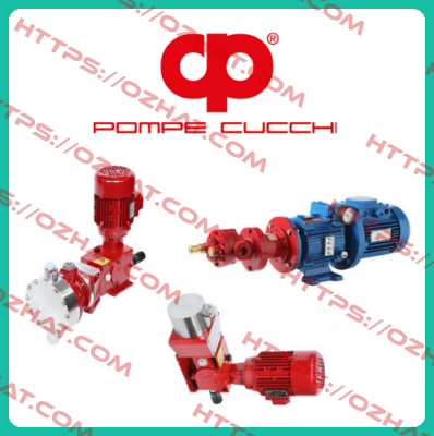 POMPE CUCCHI SRL