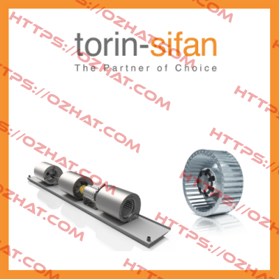 Torin-Sifan