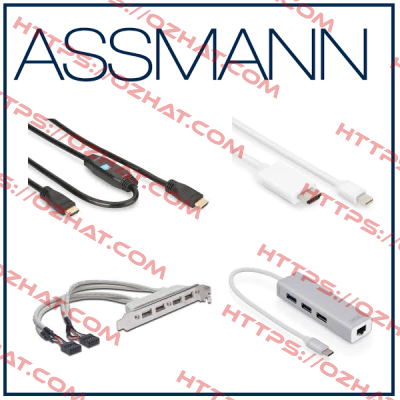  AK-310103-100-E   Assmann