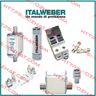 0102502 Italweber