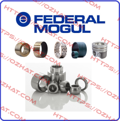 714295 STD  Federal Mogul