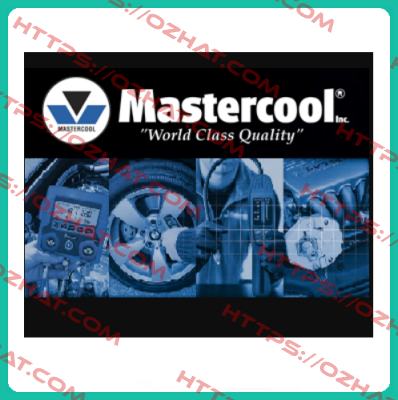 53625-6 PACK OF 6 BOTTLES Mastercool Inc