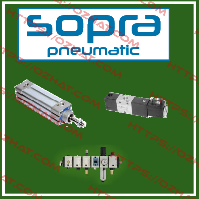 M020S0031+  Sopra-Pneumatic