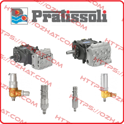 Pumpe MW 40 HP 1500-rechts-1   Pratissoli