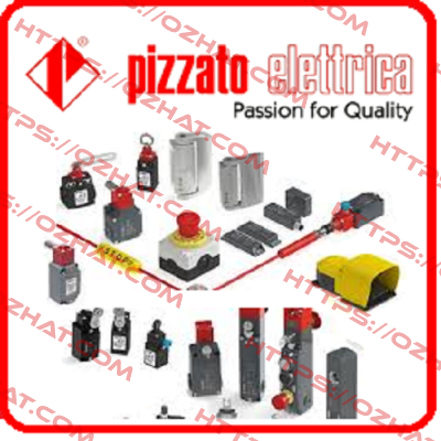 SR BD41AN10-B02F con Spacer VS SP1BA1 Pizzato Elettrica