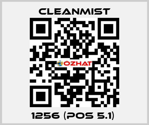 1256 (pos 5.1)  CleanMist