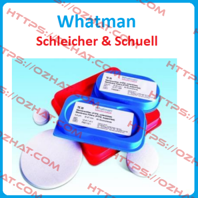 AE100 Schleicher Schuell (Whatman)