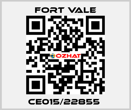 CE015/22855  Fort Vale