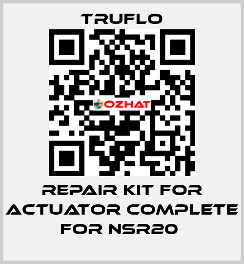 Repair Kit For Actuator Complete For NSR20  TRUFLO