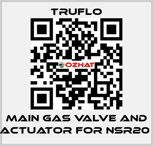 Main Gas Valve and Actuator For NSR20  TRUFLO