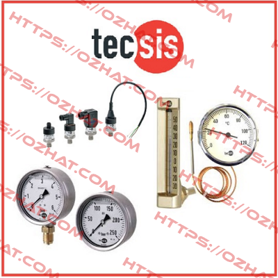 P3961B104001 Tecsis (WIKA Group)