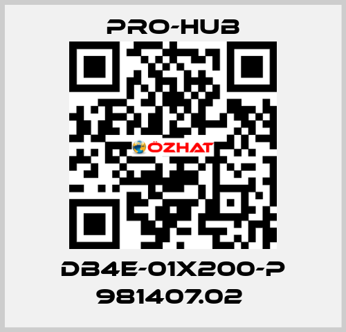 DB4E-01X200-P 981407.02  Pro-Hub