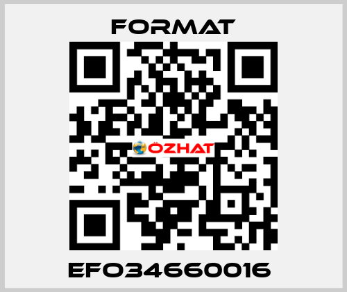 EFO34660016  Format