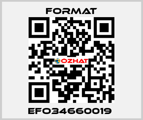 EFO34660019  Format