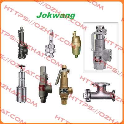 FF100-C-3/4"D1"-A21-212-CN2 27BARG  Jokwang