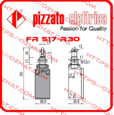 FR 517-R30 Pizzato Elettrica