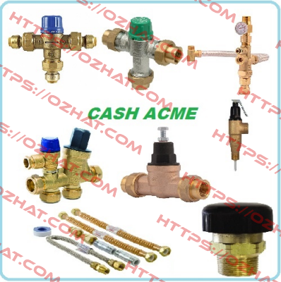 FVX AND FVMX COMMERCIAL T&P RELIEF VALVES  Cash Acme