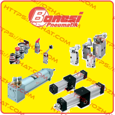 TYPE E 5W Bonesi Pneumatic