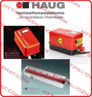 AG25  Haug