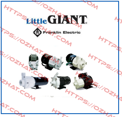 LG541015  Little Giant