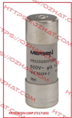 FR22GG50V100P (T217183) Mersen