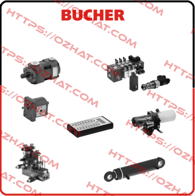 QX83-250R09 Bucher