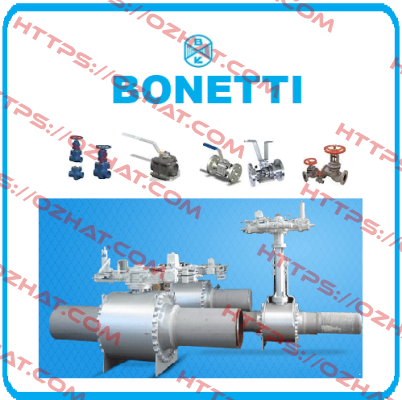 Type BR27 alternative BG3758.00  Cesare Bonetti