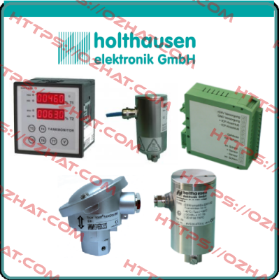 hol600/Ex  HOLTHAUSEN ELEKTRONIK