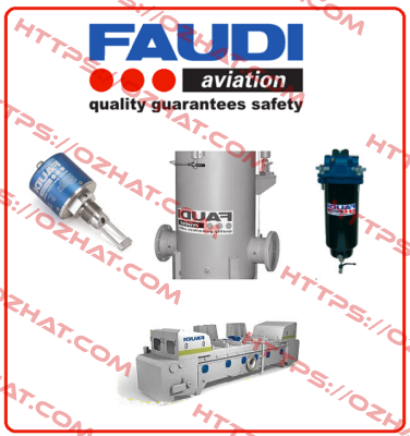 60.6C4-600/DM  FAUDI