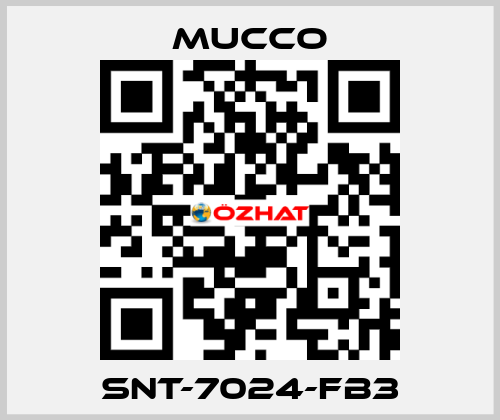 SNT-7024-FB3 mucco