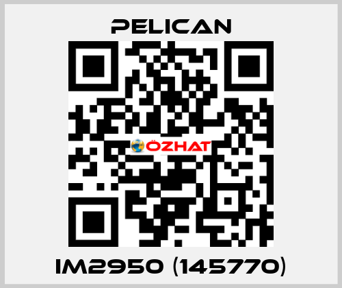 iM2950 (145770) Pelican