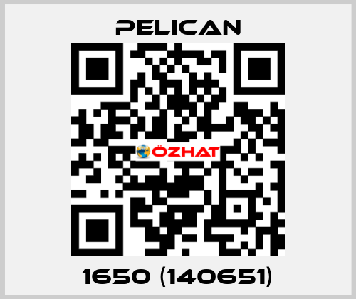 1650 (140651) Pelican