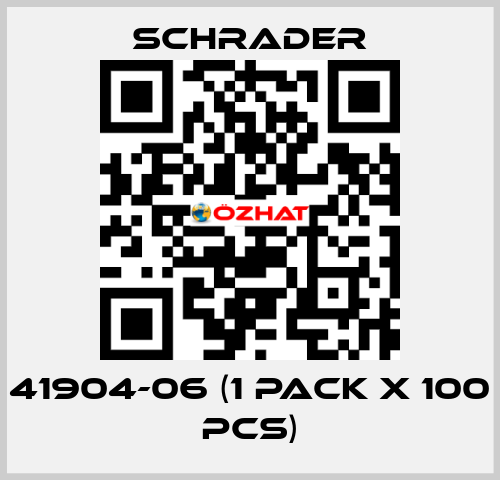 41904-06 (1 pack x 100 pcs) Schrader