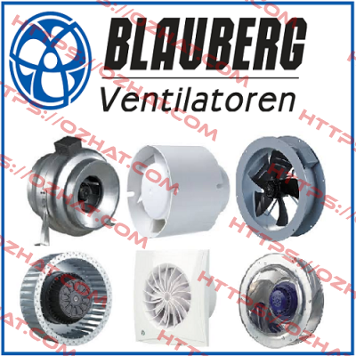 VSR 125 / 8036859 Blauberg