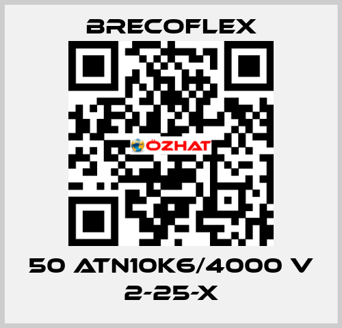 50 ATN10K6/4000 V 2-25-X Brecoflex