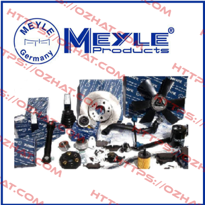 3SE4206 (pack of 100 pcs.) Meyle