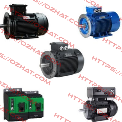 HMA3-100L1-4 IE3 Hoyer Motors