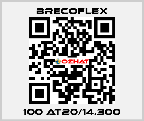 100 AT20/14.300 Brecoflex