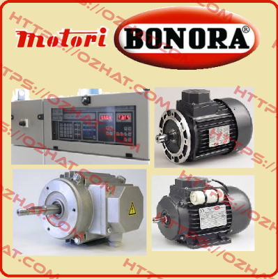 A501219 Bonora