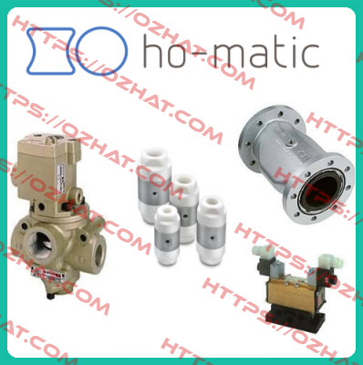 0015.001.100 Ho-Matic AG