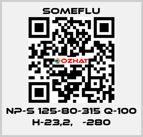 NP-S 125-80-315 Q-100 H-23,2, Ф-280 SOMEFLU