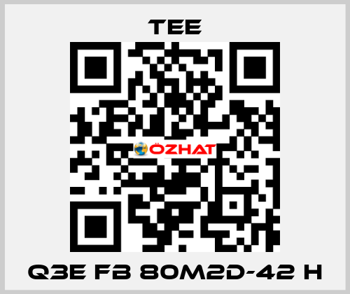 Q3E FB 80M2D-42 H TEE