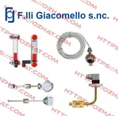 RL/G1-1--S2-500-S-S-S-S-S-1 F.lli Giacomello