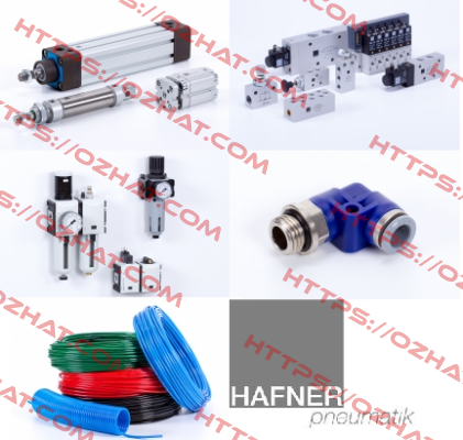 MNH 520 701 NPT Hafner