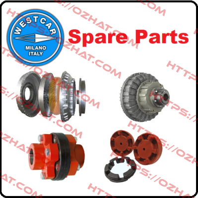 ROTOR C./W. SHAFT AND BEARINGS            FOR DRUM BRAKE M 80/60  Westcar