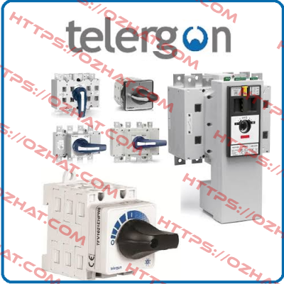 S6-02502DS0（1000VDC） Telergon