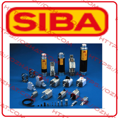 189140.0,16 (pack of 10 pcs) Siba