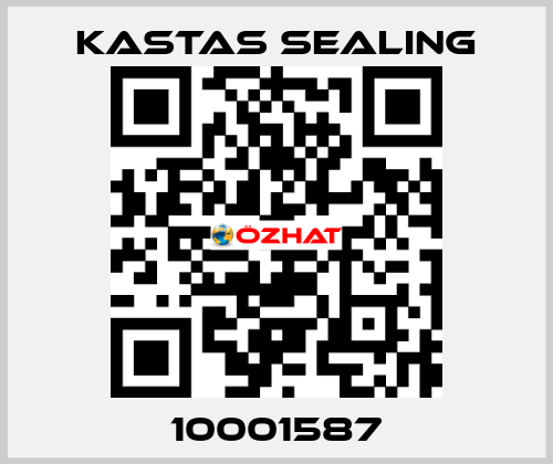 10001587 Kastas Sealing