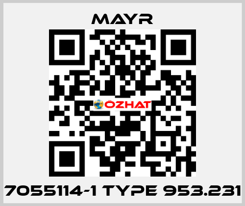 7055114-1 Type 953.231 Mayr