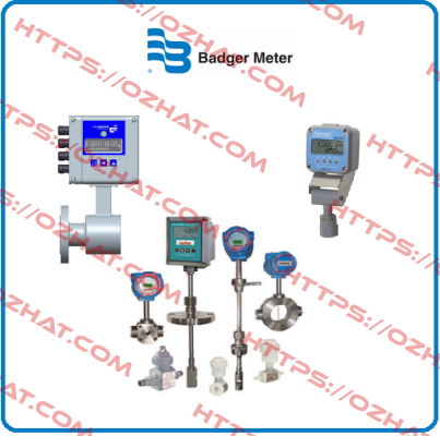 RCS200-S-NTP-G-1 Badger Meter